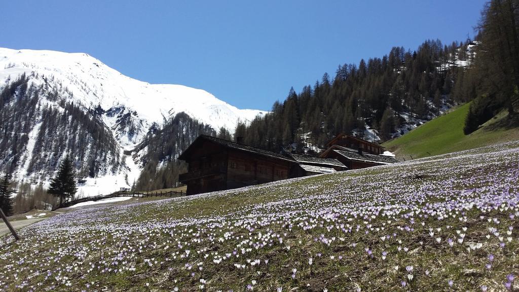 Giatla Hof Der Alfenalm - Ferienwohnungen Am Berg Инерфилгратен Екстериор снимка